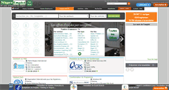 Desktop Screenshot of nigeremploi.com